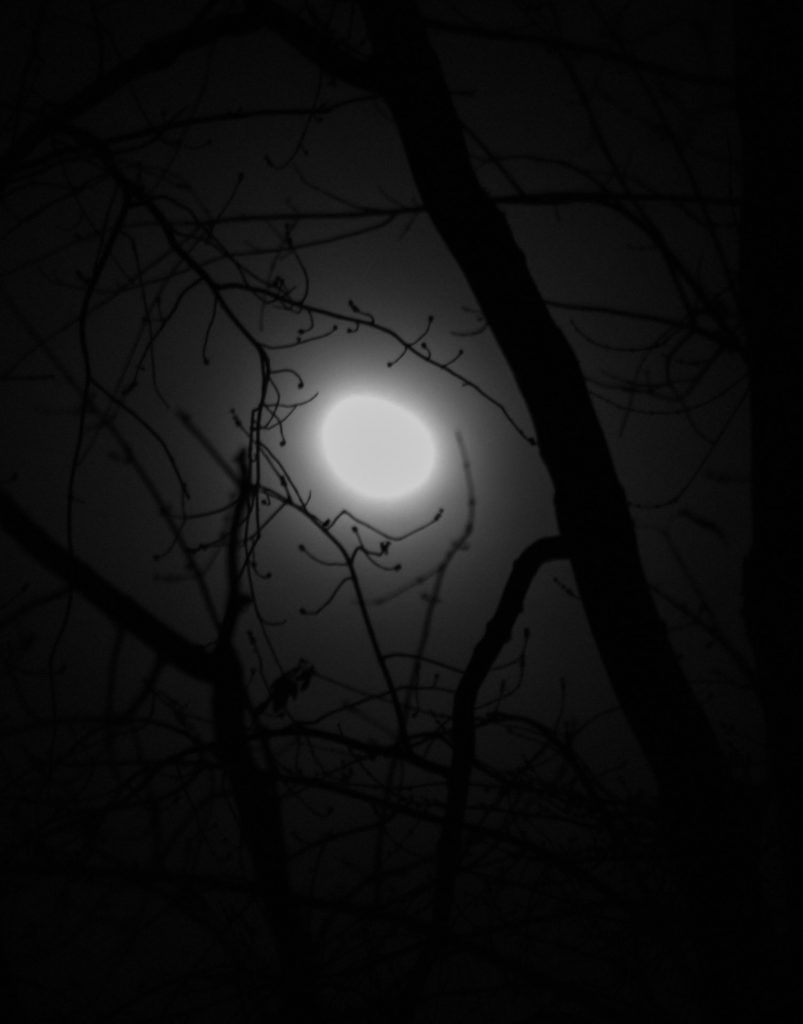 Misty Moon 1