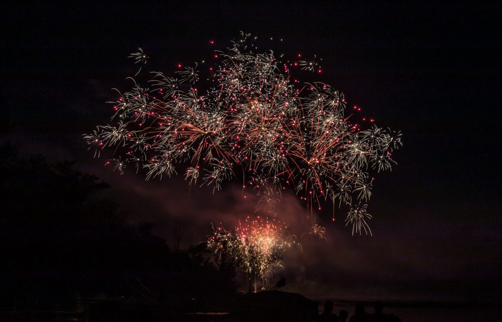 Fireworks in the Night Sky