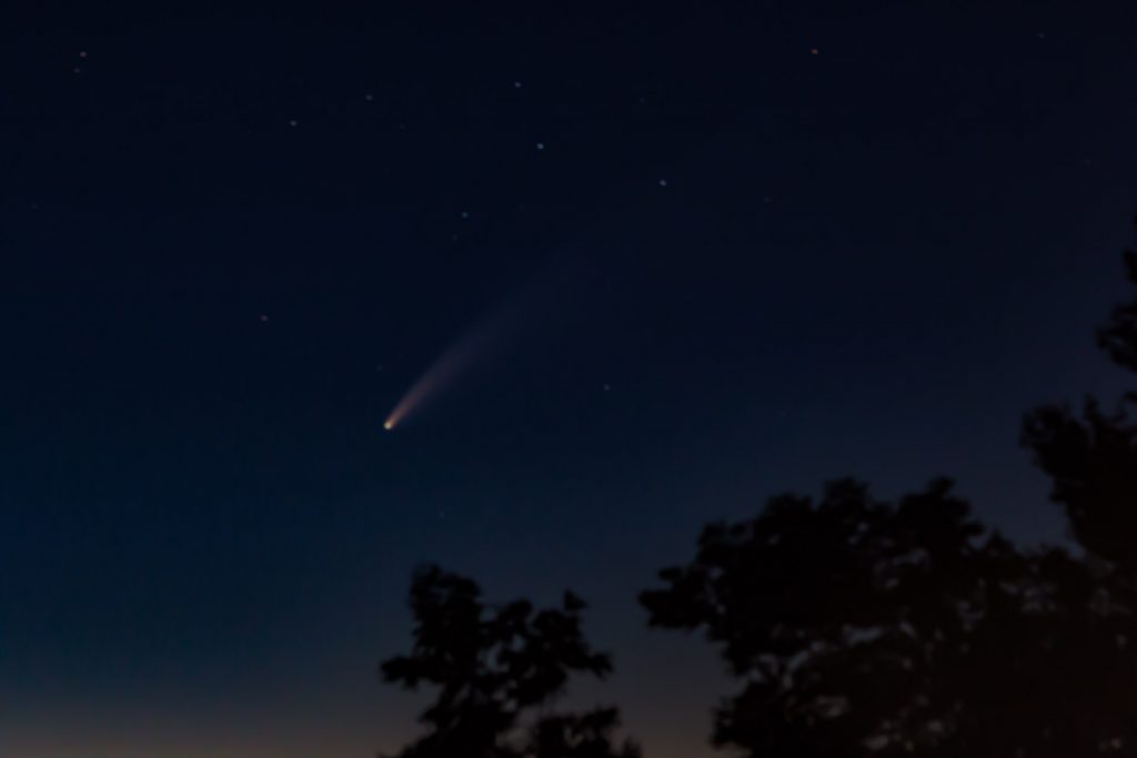 Comet Neowise (2020)