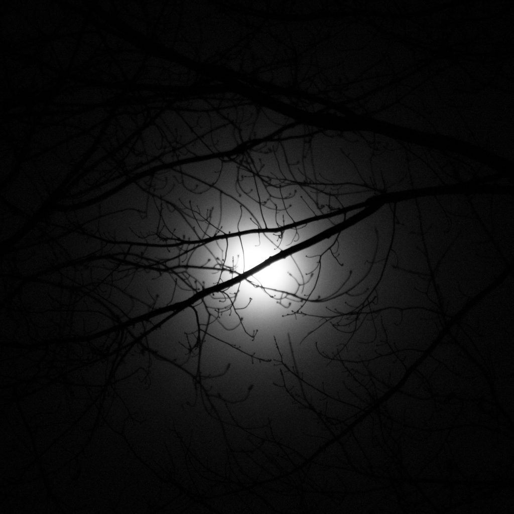 Misty Moon 2