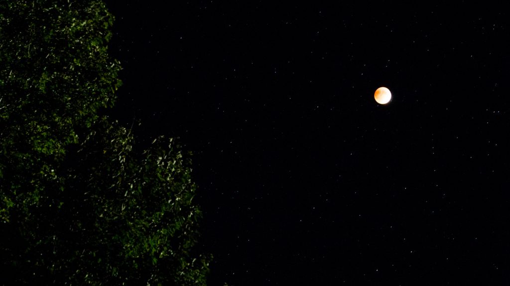 Blood Moon